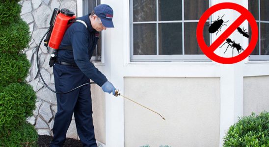Ayrancılar Hamam Böceği İlaçlama böcek ilaçlama ve haşere kontrolü — ilaclama-tr.com